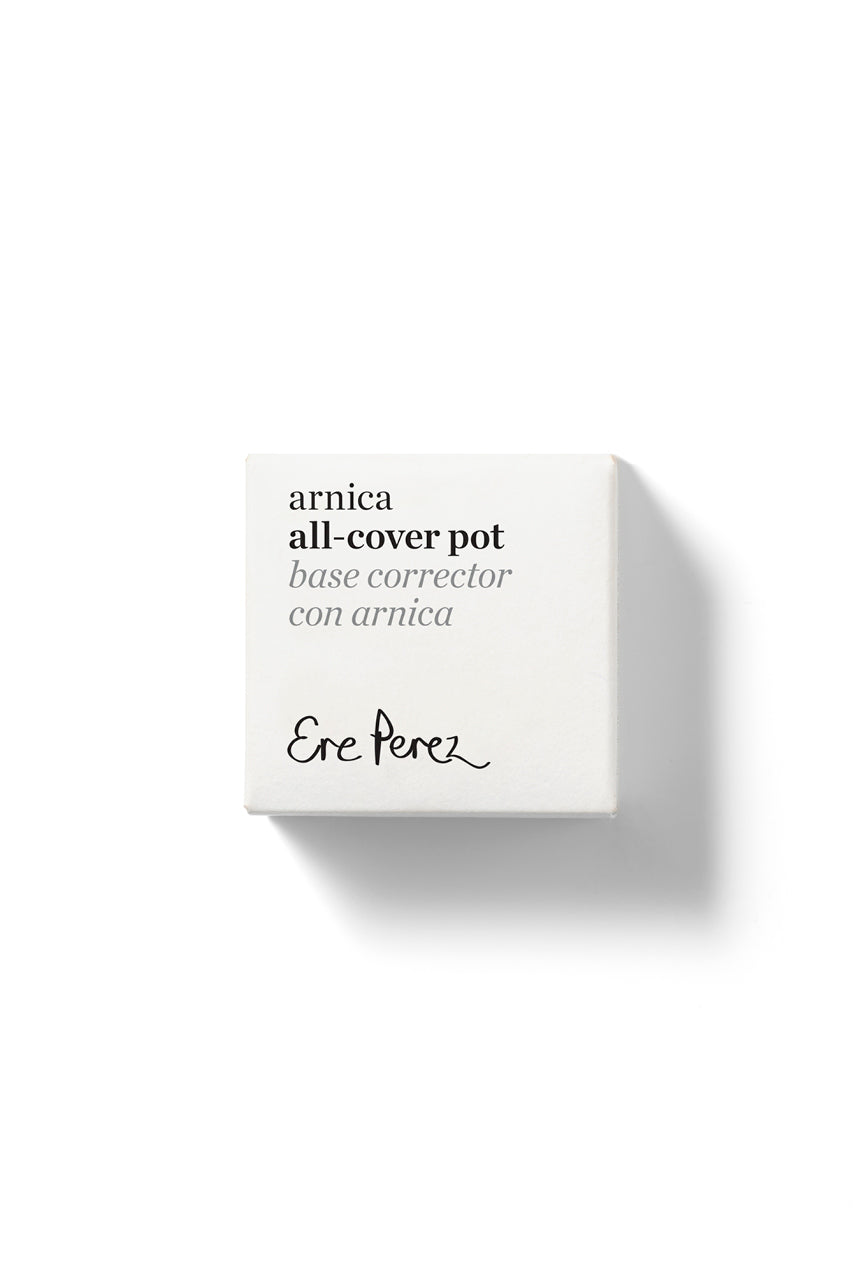 Arnica Concealer - Chai