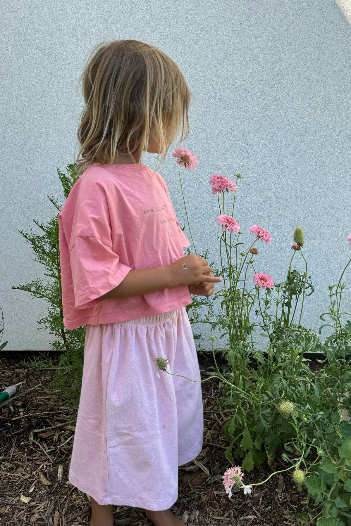Crop Tee | She Sells Sea Shells
