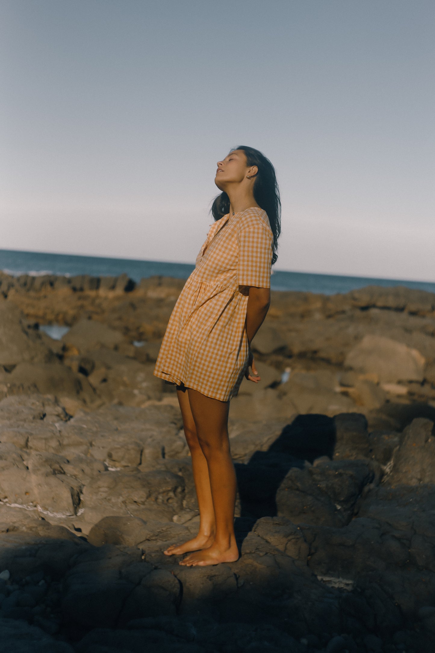 Darcey Dress | Clementine Gingham