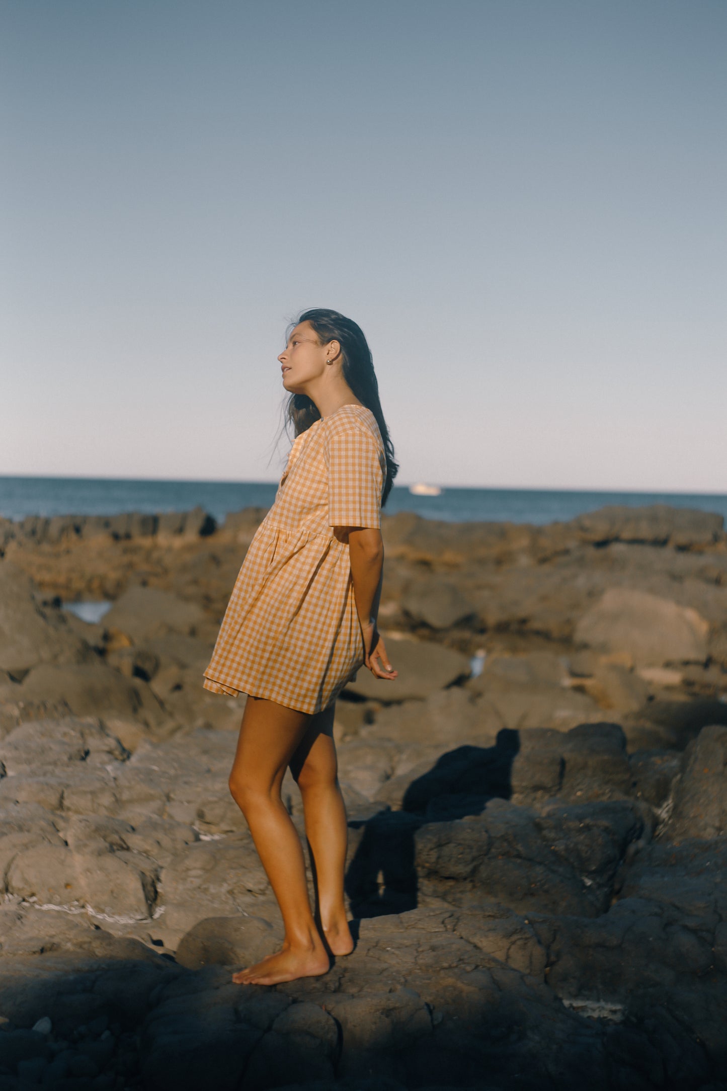 Darcey Dress | Clementine Gingham