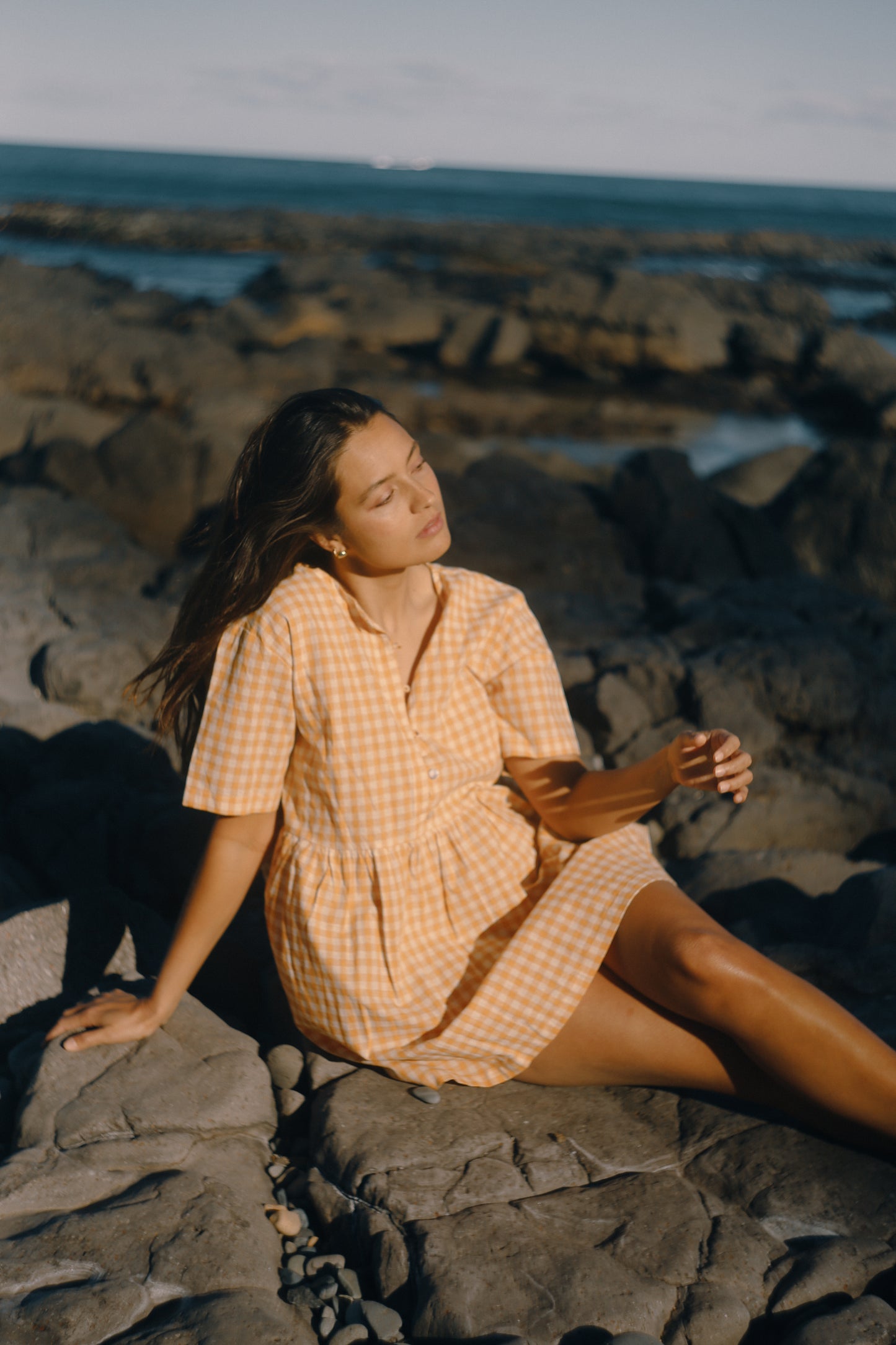 Darcey Dress | Clementine Gingham